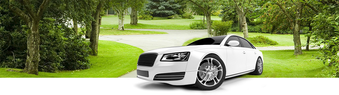 Your Smart Choice for Stress-Free Car Buying