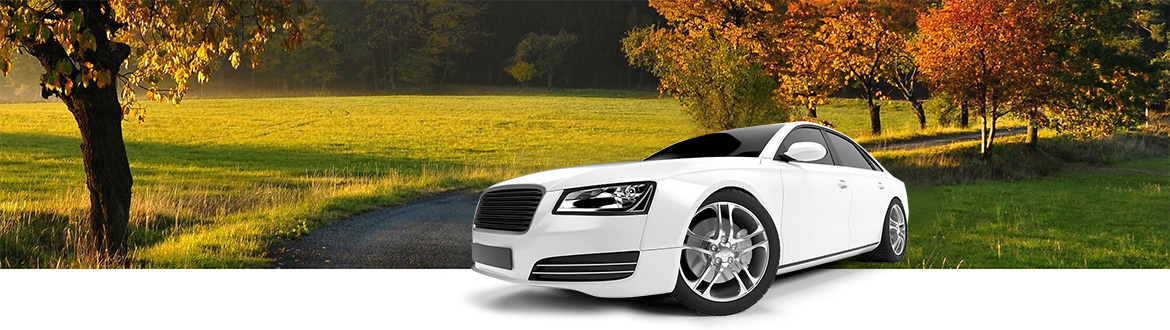 Your Smart Choice for Stress-Free Car Buying
