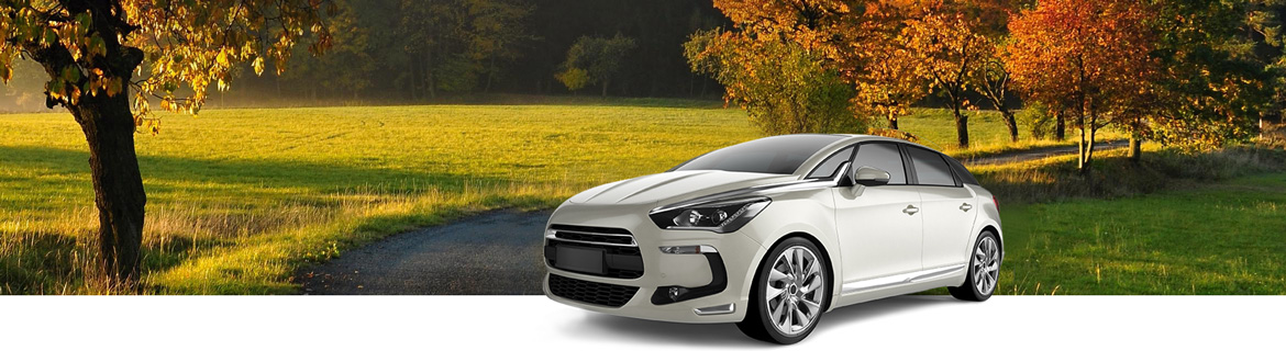 Your Smart Choice for Stress-Free Car Buying